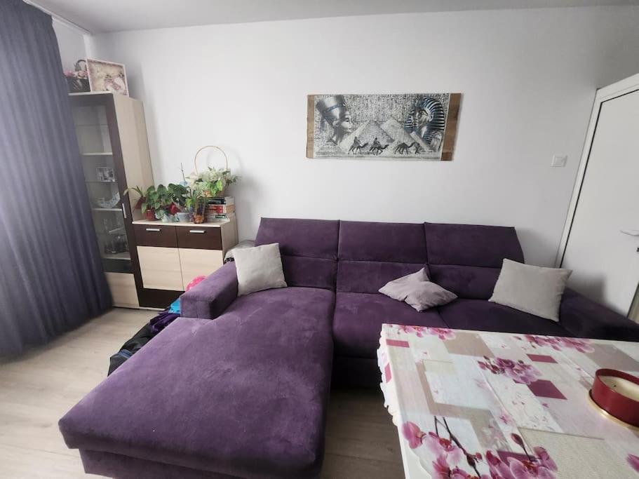 Modern Apartment. Best Location Sofya Dış mekan fotoğraf