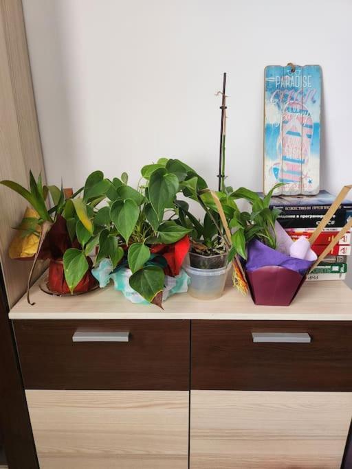 Modern Apartment. Best Location Sofya Dış mekan fotoğraf
